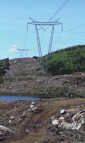 Travaux de déboisement et construction de chemins quatre saisons