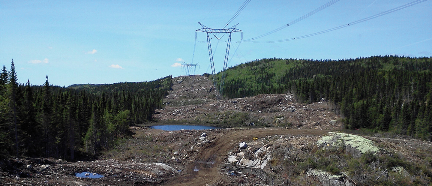 Travaux de déboisement et construction de chemins quatre saisons